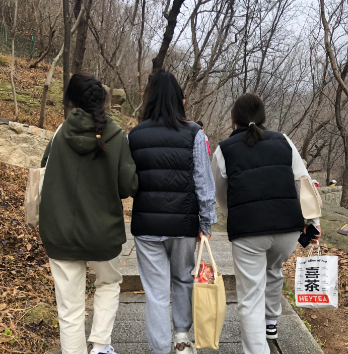 鼎天国际官方网站图片